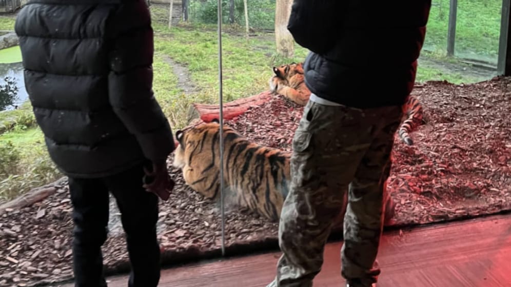 Wild Adventures: A Day at London Zoo